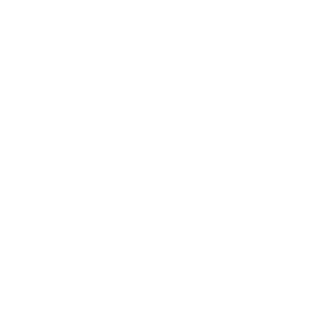logo instagram